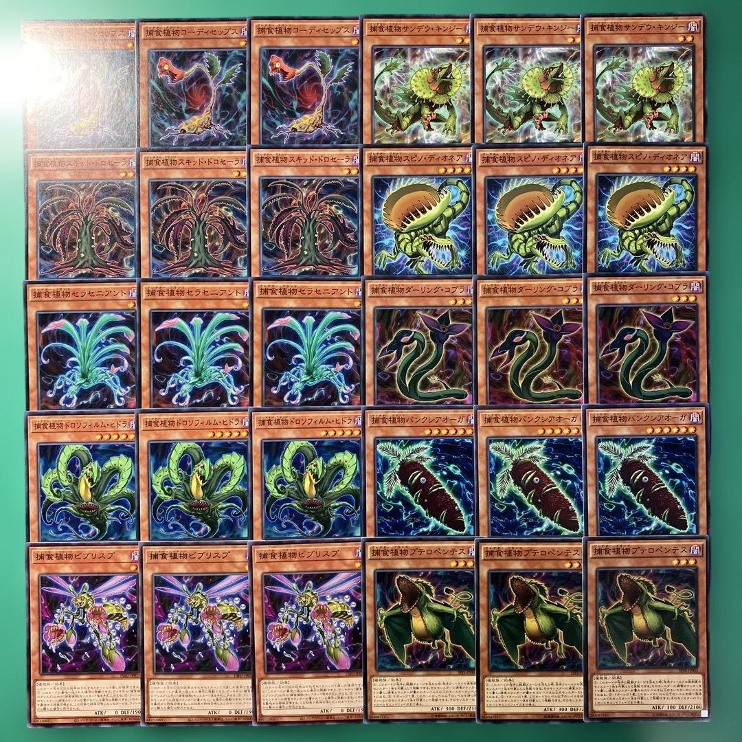 ねぎはや様 ご所望品