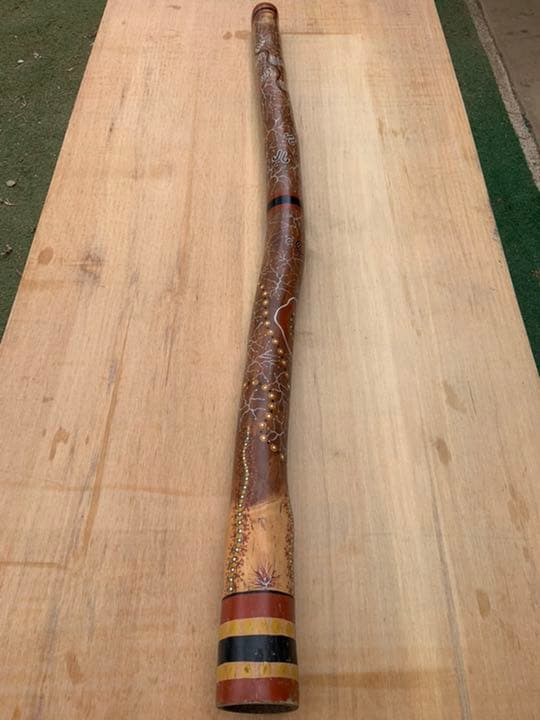 世界最古の金管楽器　ディジュリドゥ✴︎