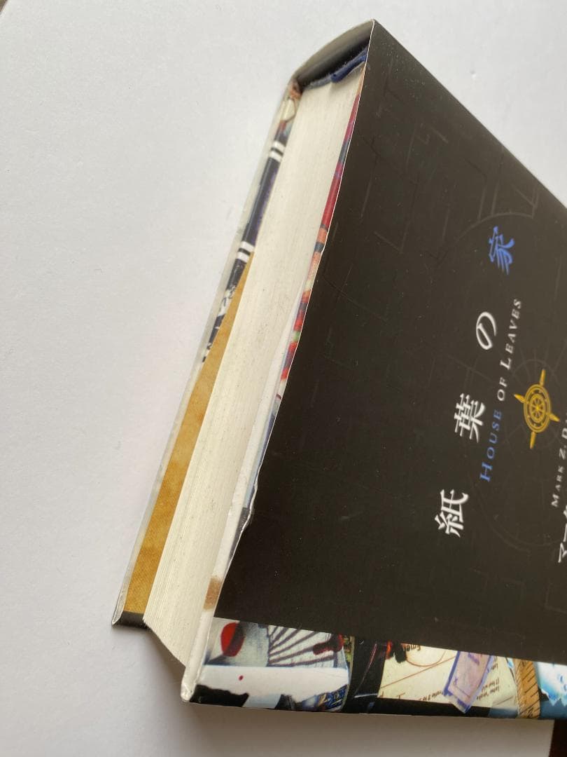 マーク・Z・ダニエレブスキー『紙葉の家』嶋田洋一訳、ソニーマガジンズ、2002年