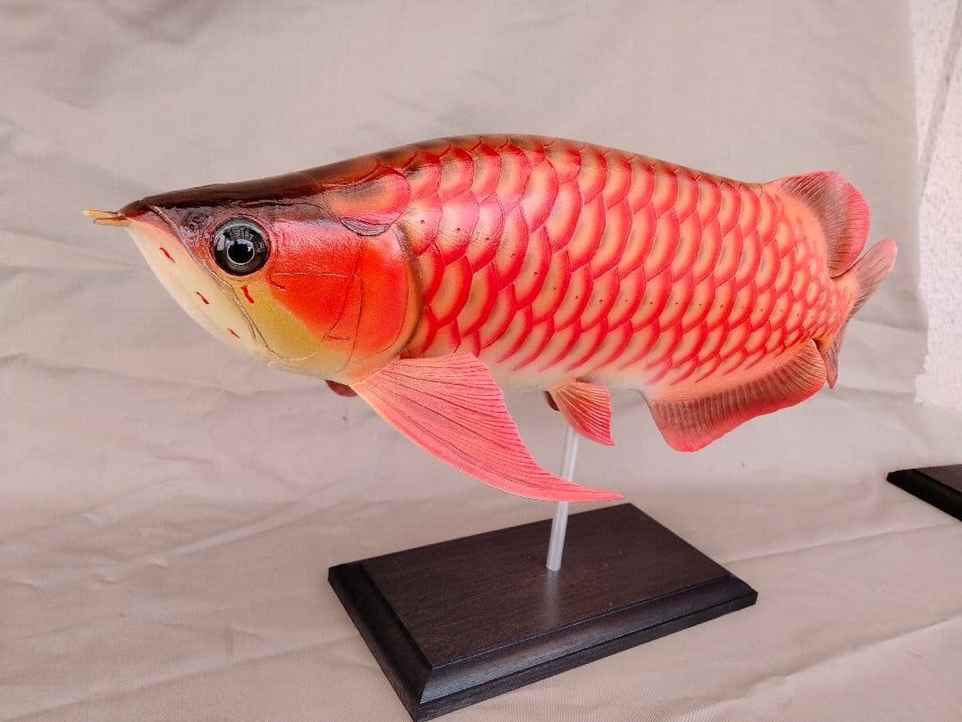 ハンドメイド　41cmアロワナ　レッド　フィギュア　レプリカ　熱帯魚　模型