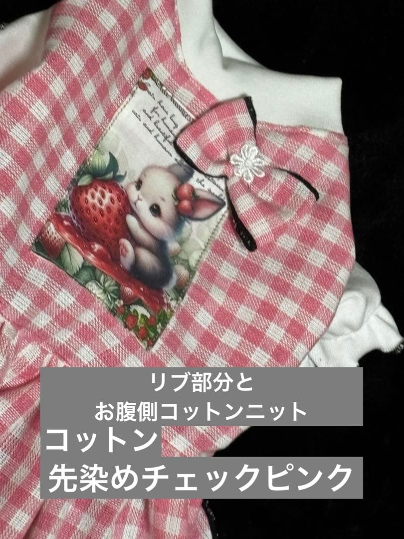 新作3点セット　ハンドメイド犬服　ワンピース　SS 女の子用　セール