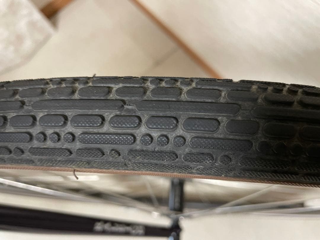 【ガニ】ラレー　Raleigh RFF-N 【現地引渡し希望】