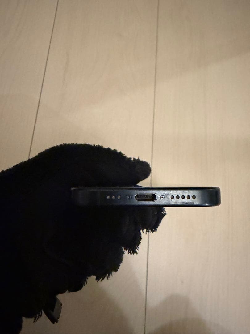 Apple iPhone 15Pro ブルーチタニウム 256GB 本体 美品