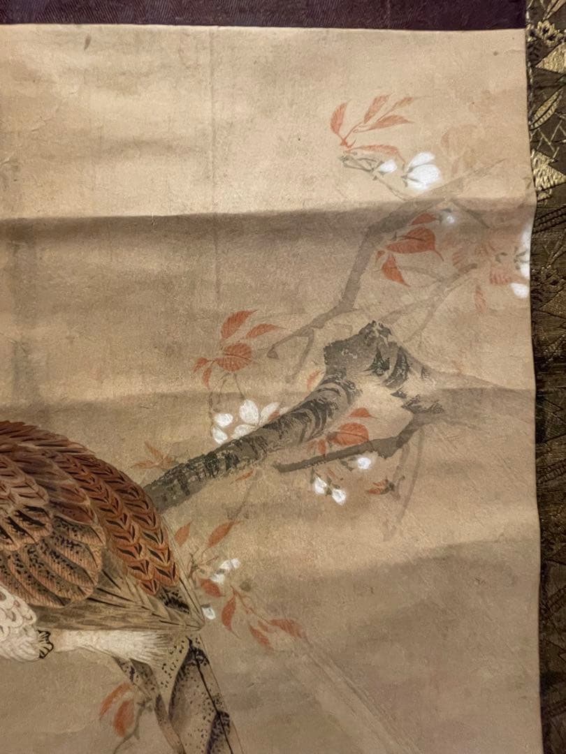 松村景文　山桜ニ山鳥　掛軸　紙本　江戸時代
