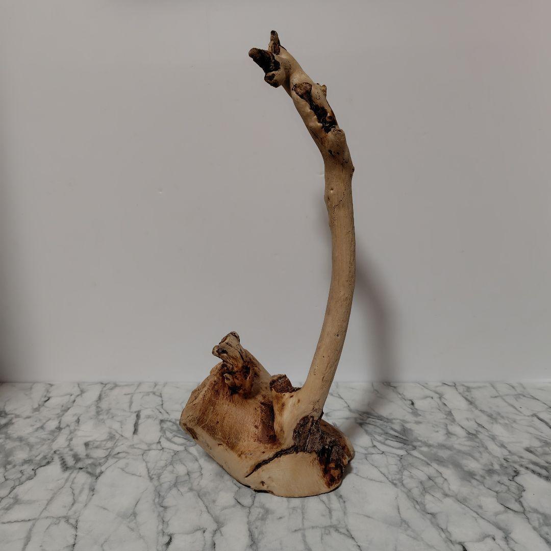 アク抜き済み流木【814】セール