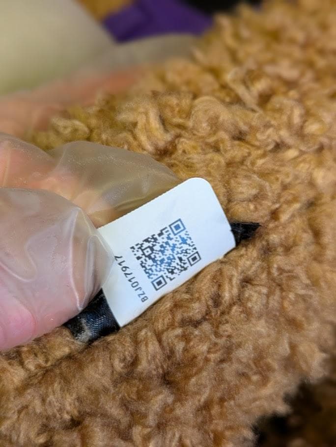 極美品 Supreme The North Face Stuff Animal