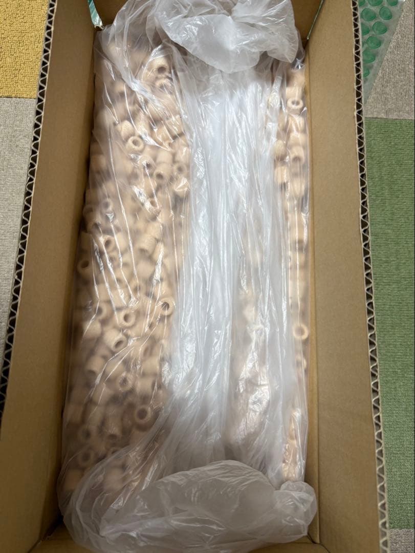 パワーハウス ソフトL 10L