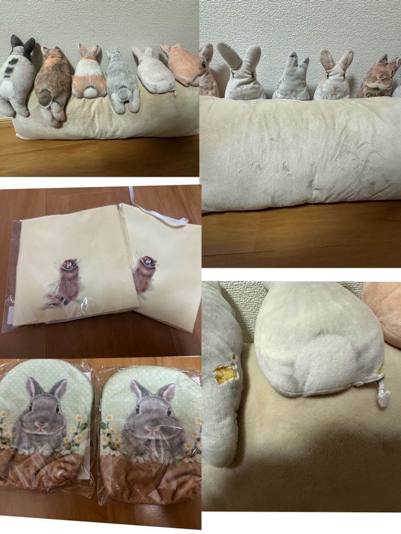 しらとあきこ⭐︎写真全部セット