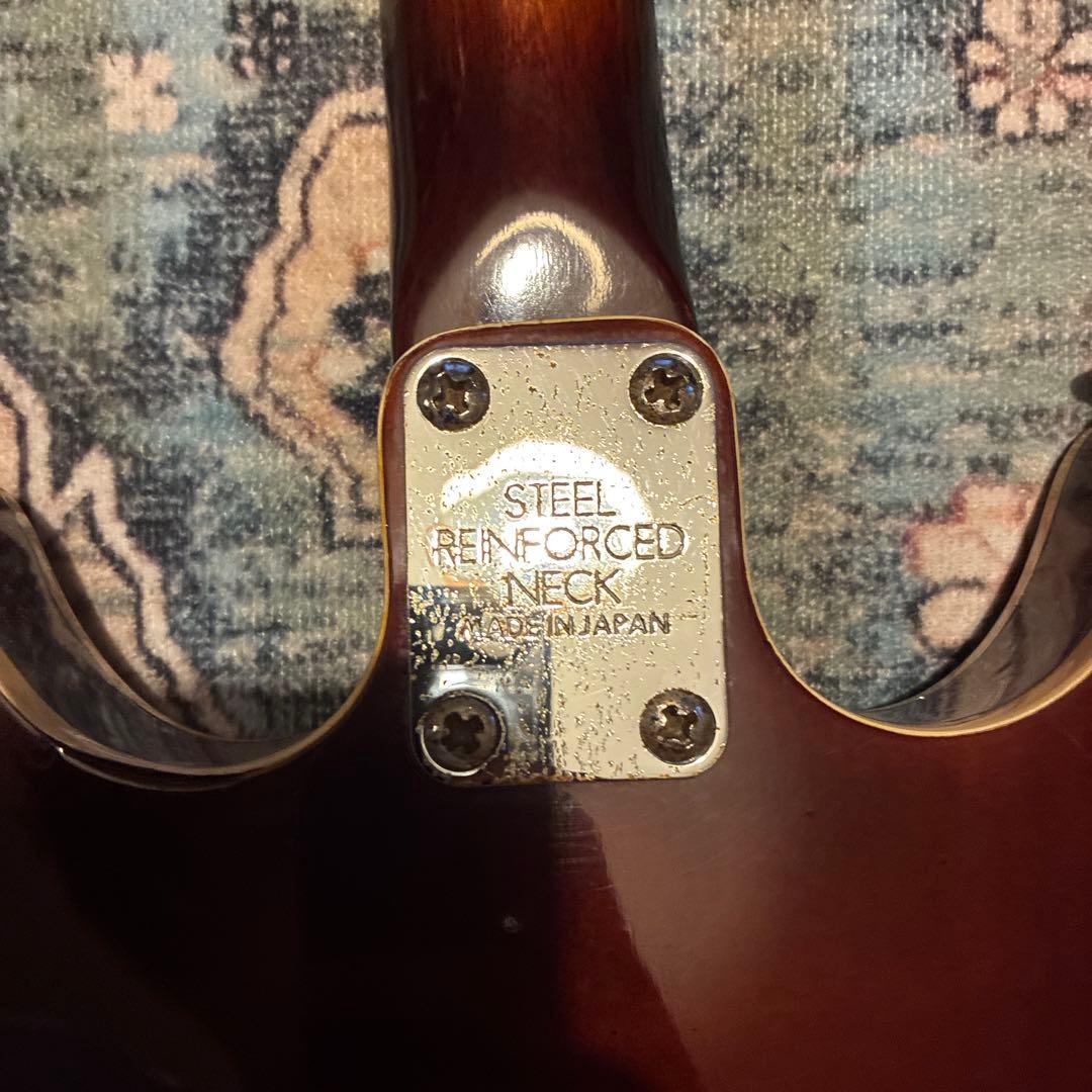 Aria Diamonds 60's ヴィンテージ　ビザールギター　フルアコ