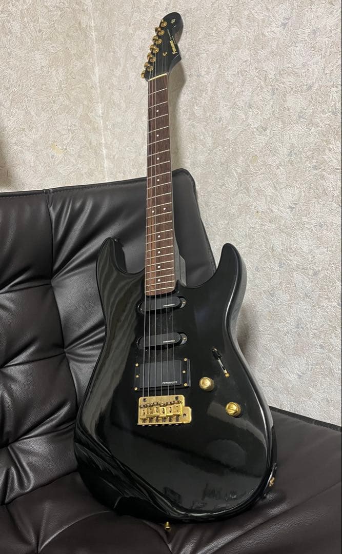 FERNANDES the function フェルナンデスギター　エレキギター
