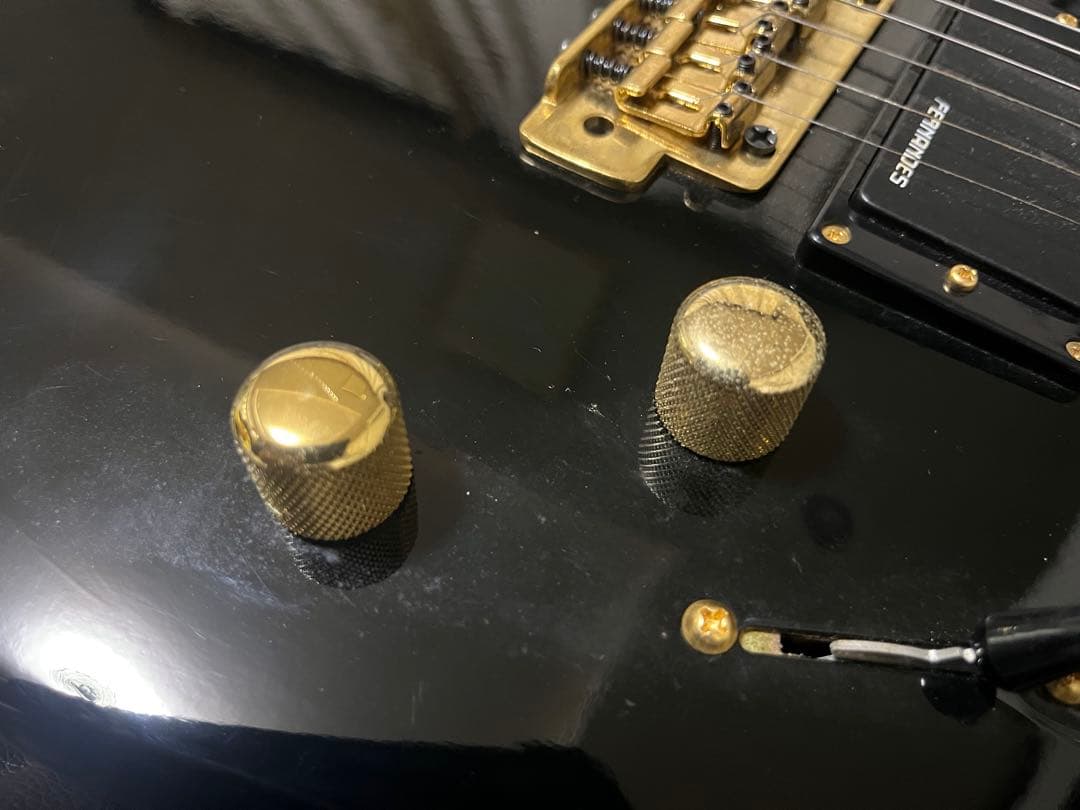 FERNANDES the function フェルナンデスギター　エレキギター