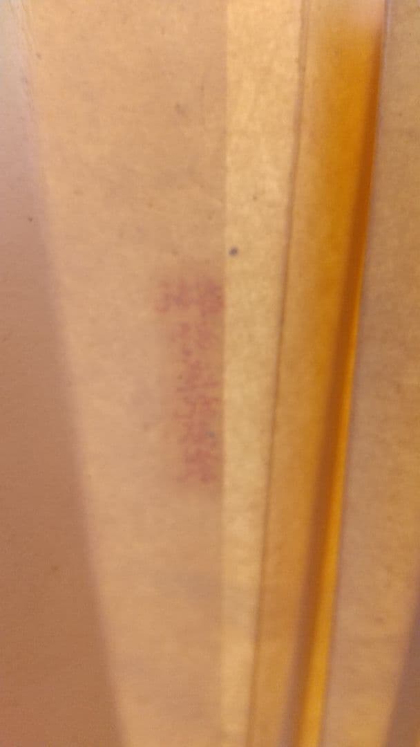 子安刻 竹？骨彫刻 扇子A 要破損 画家不明 舒蓮記監製？ 中国