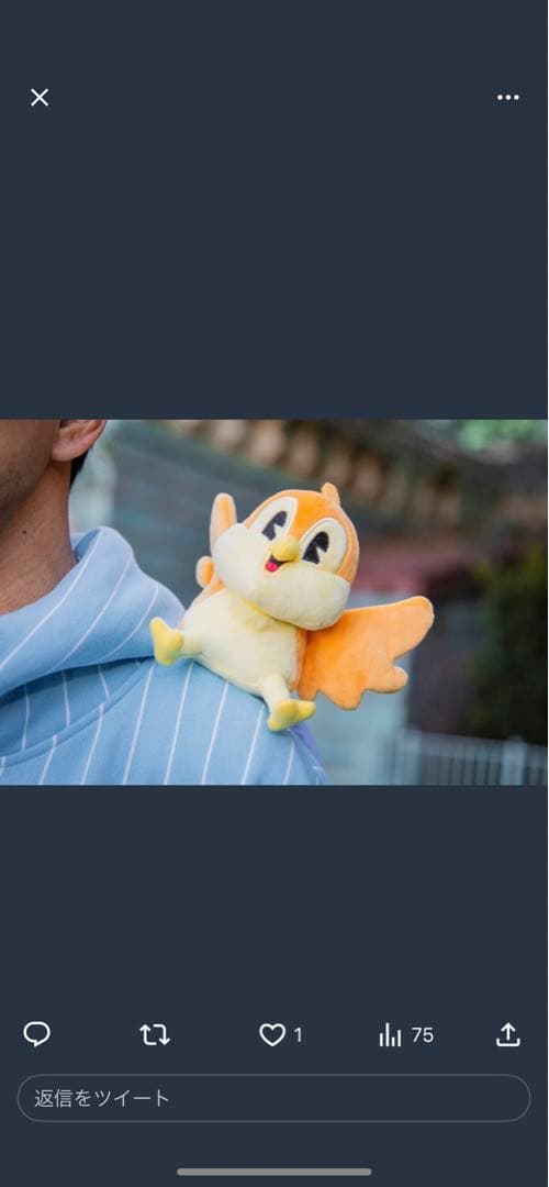 確認用　　　　専用