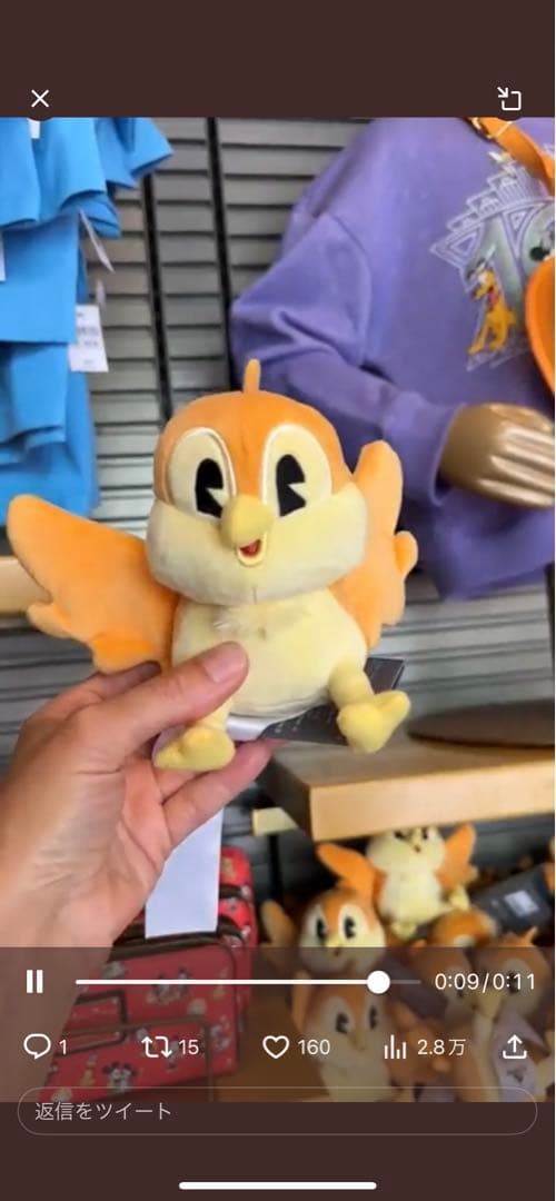 確認用　　　　専用