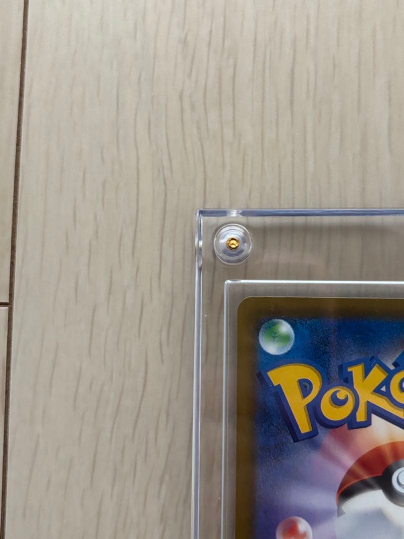 し*ろ様 メガカイリューex SAR