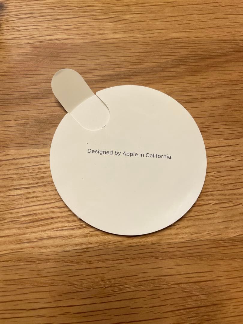 Apple Pod (第1世代) ※ジャンク品※