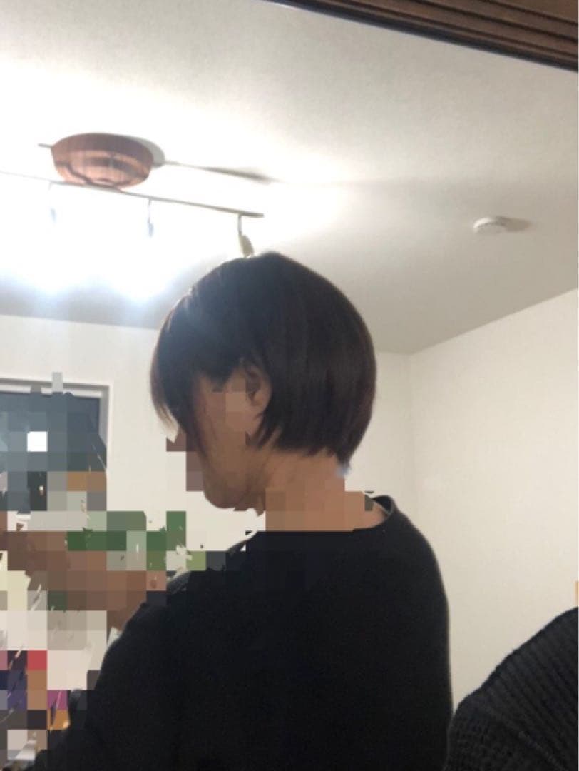 人毛ショート　ブラウン　未使用