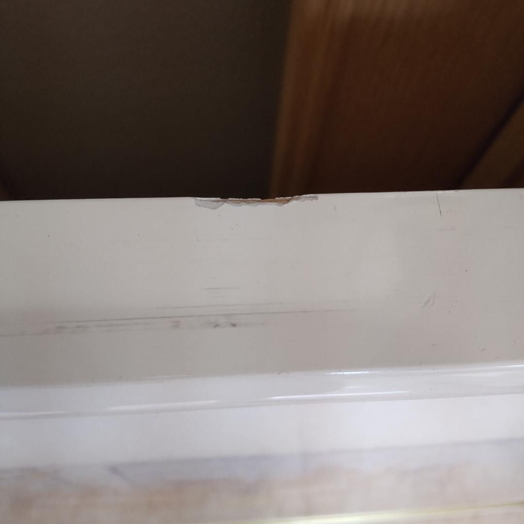 レスリー・セイヤー　ポスター額　アート　大きい