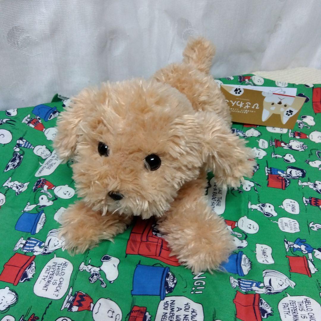 ふわふわモコモコ·͜·ᰔᩚひざわんこ トイプードル