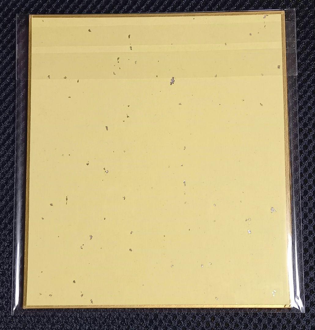 中嶋ちずな先生　直筆イラスト入りサイン色紙　エルフ先生のトイレはどこですか？