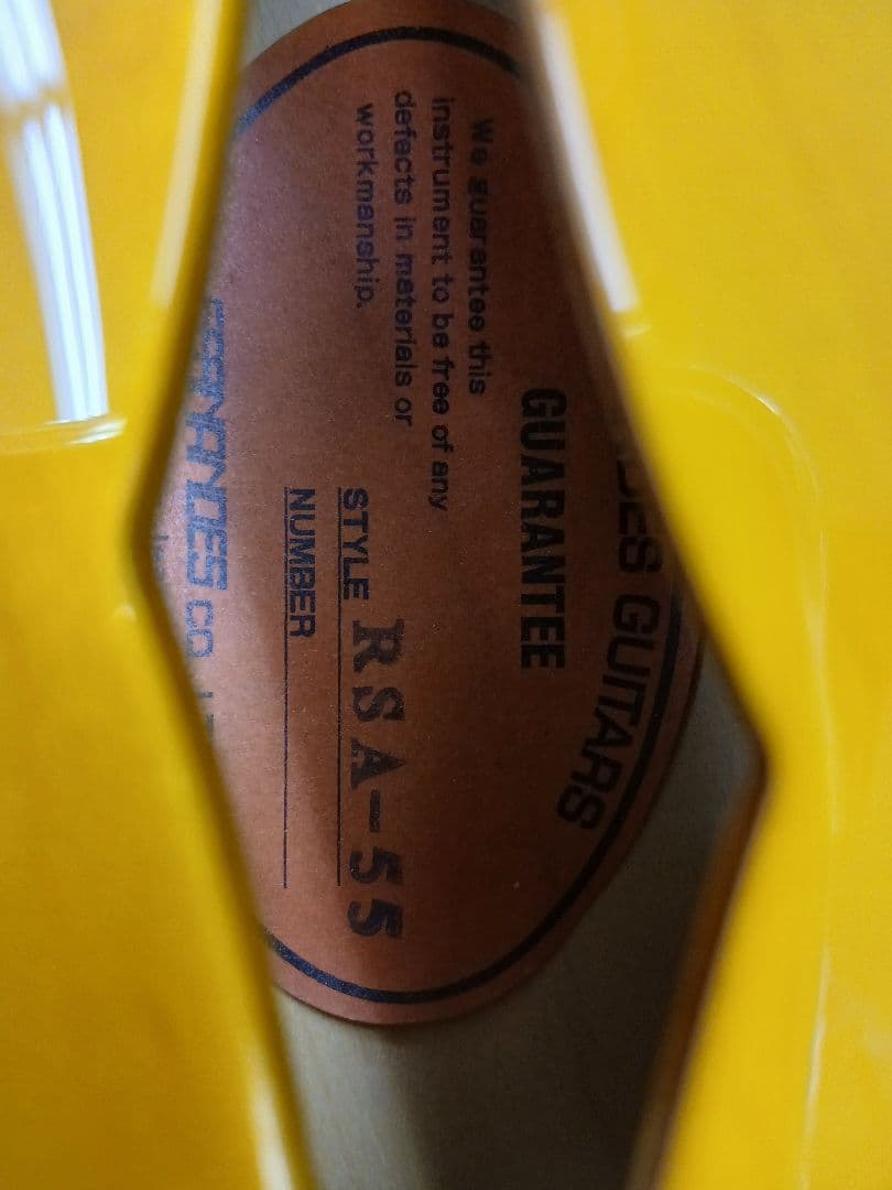 Burny RSA-55 VSB ES-335モデル