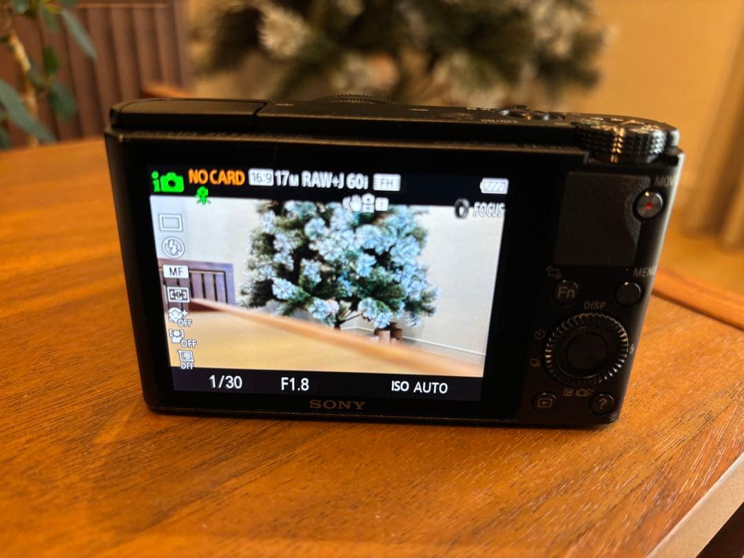 SONY DSC-RX100 サイバーショット