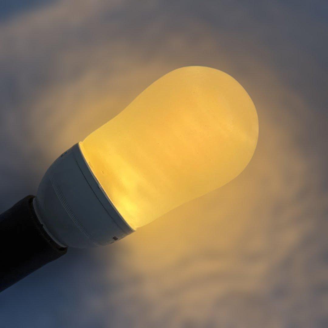 ま*い様 ★☆Panasonicパルックボール プレミア100形電球タイプ 5個