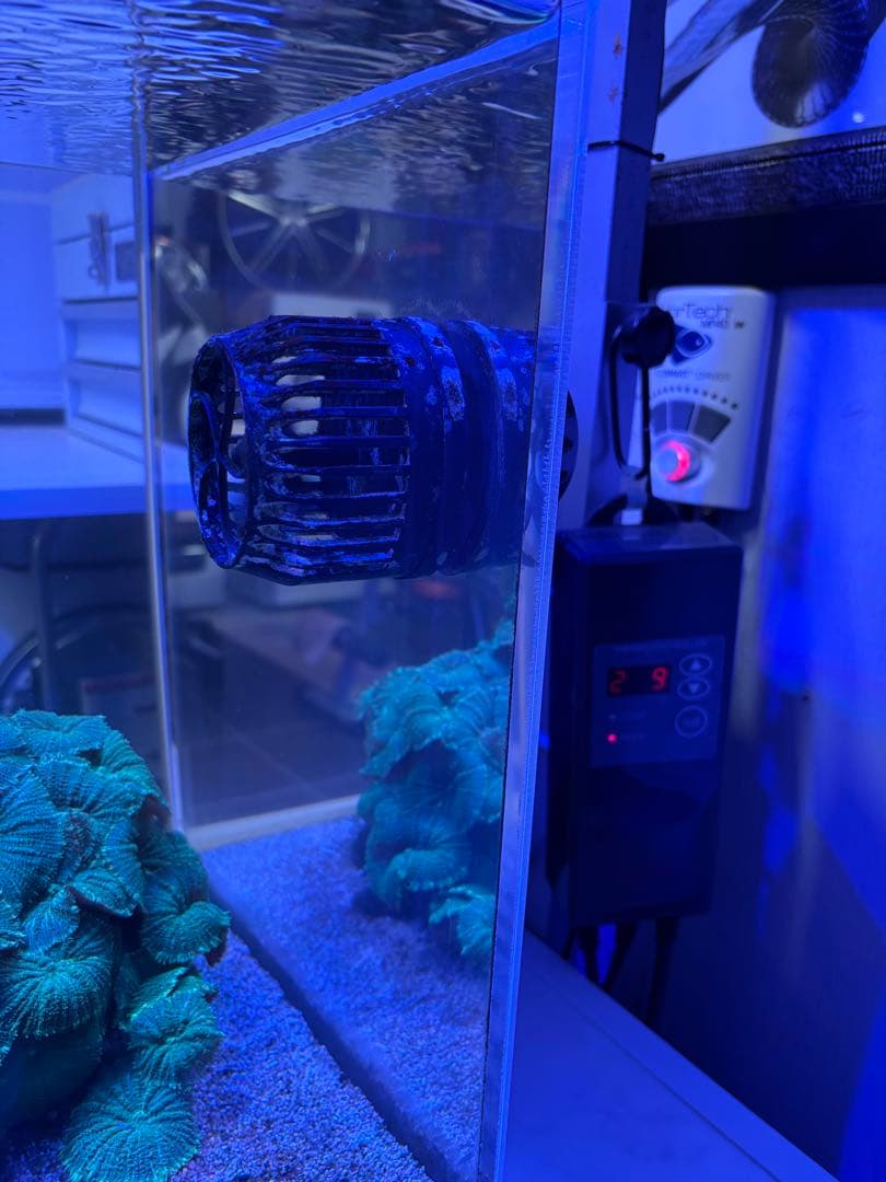 オーバーフロー水槽 フルセット　(生体含まず)