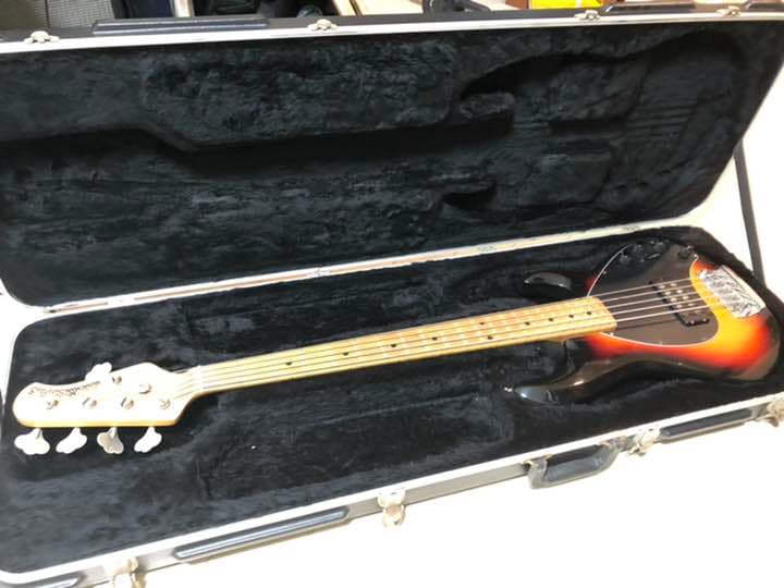 弦楽器 musicman stingray5