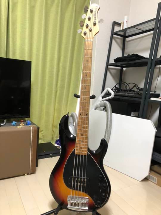弦楽器 musicman stingray5