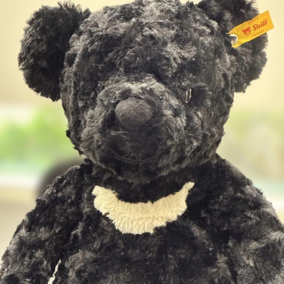 fragment × Steiff 2024 テディベア　ぬいぐるみ