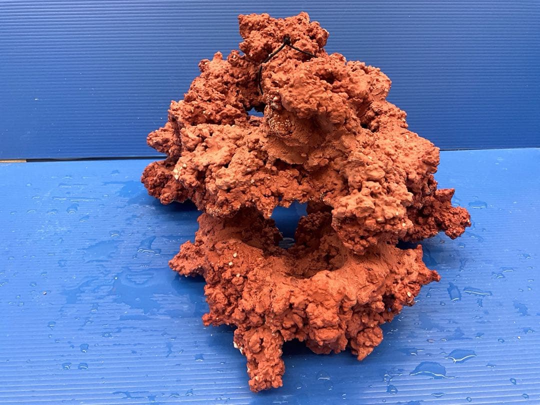 人工ライブロック. No.28. CO2無害化処理済