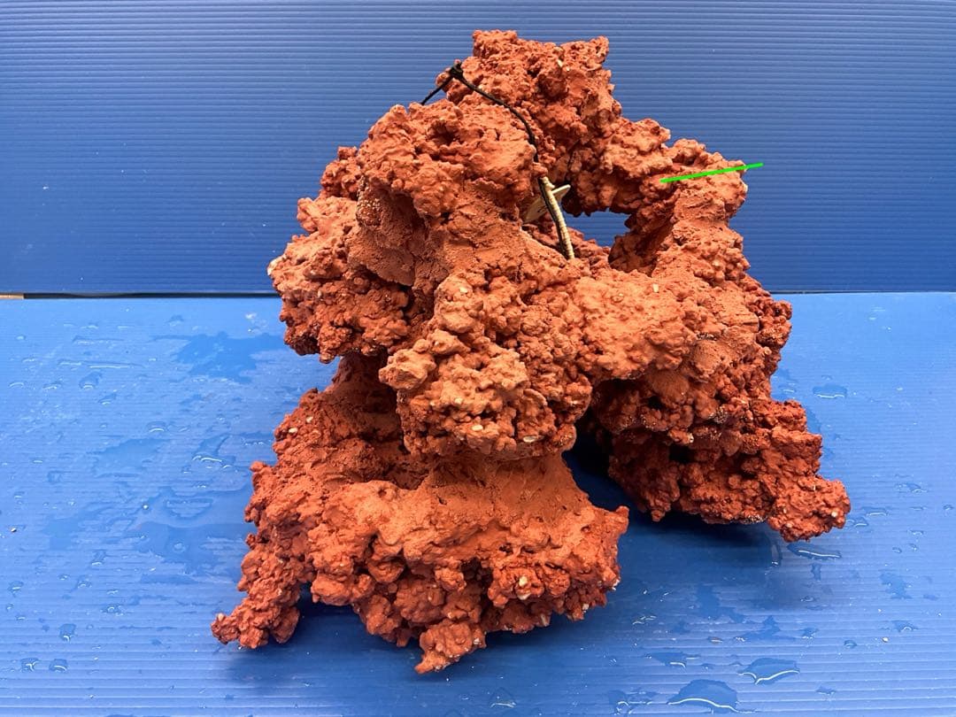 人工ライブロック. No.28. CO2無害化処理済