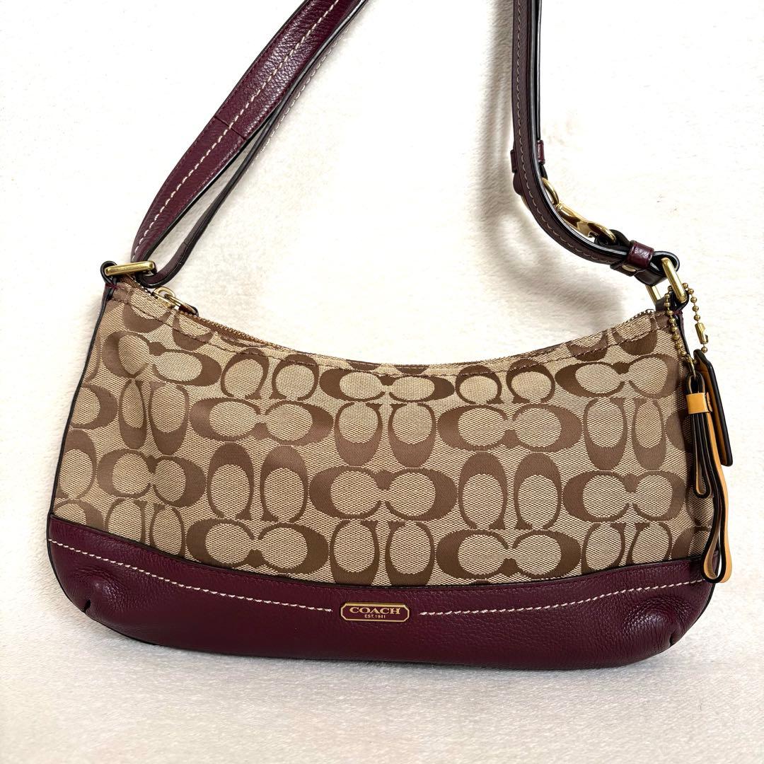 ⭐︎美品【COACH】ワンショルダーバッグ キャンバス レザー シグネチャー 総柄