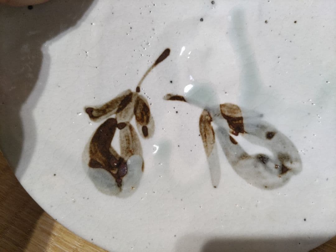 永江港史　粉引貝形皿　共箱・布　美品