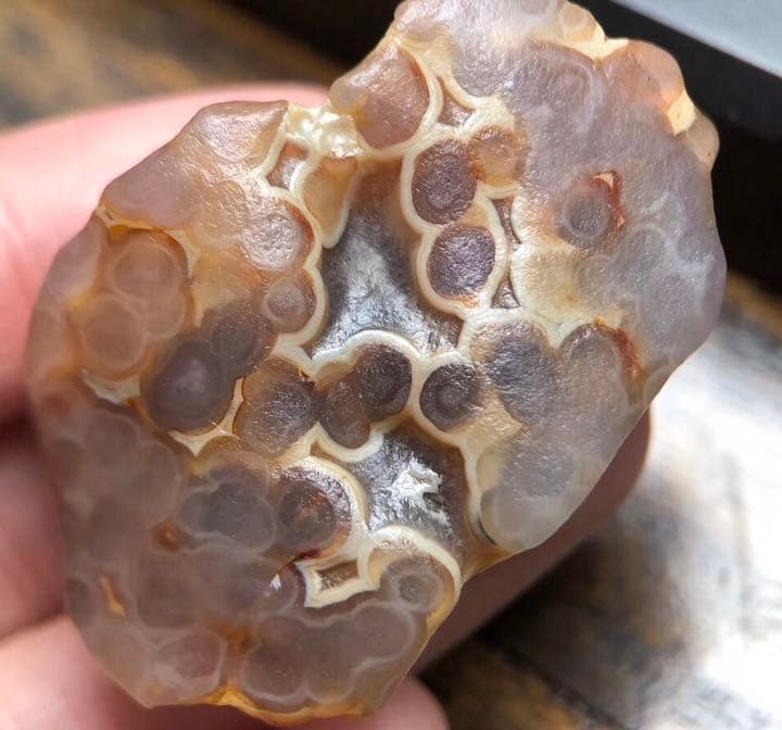 ゴビ石−111 ゴビ瑪瑙 花眼　蜂の巣　原石