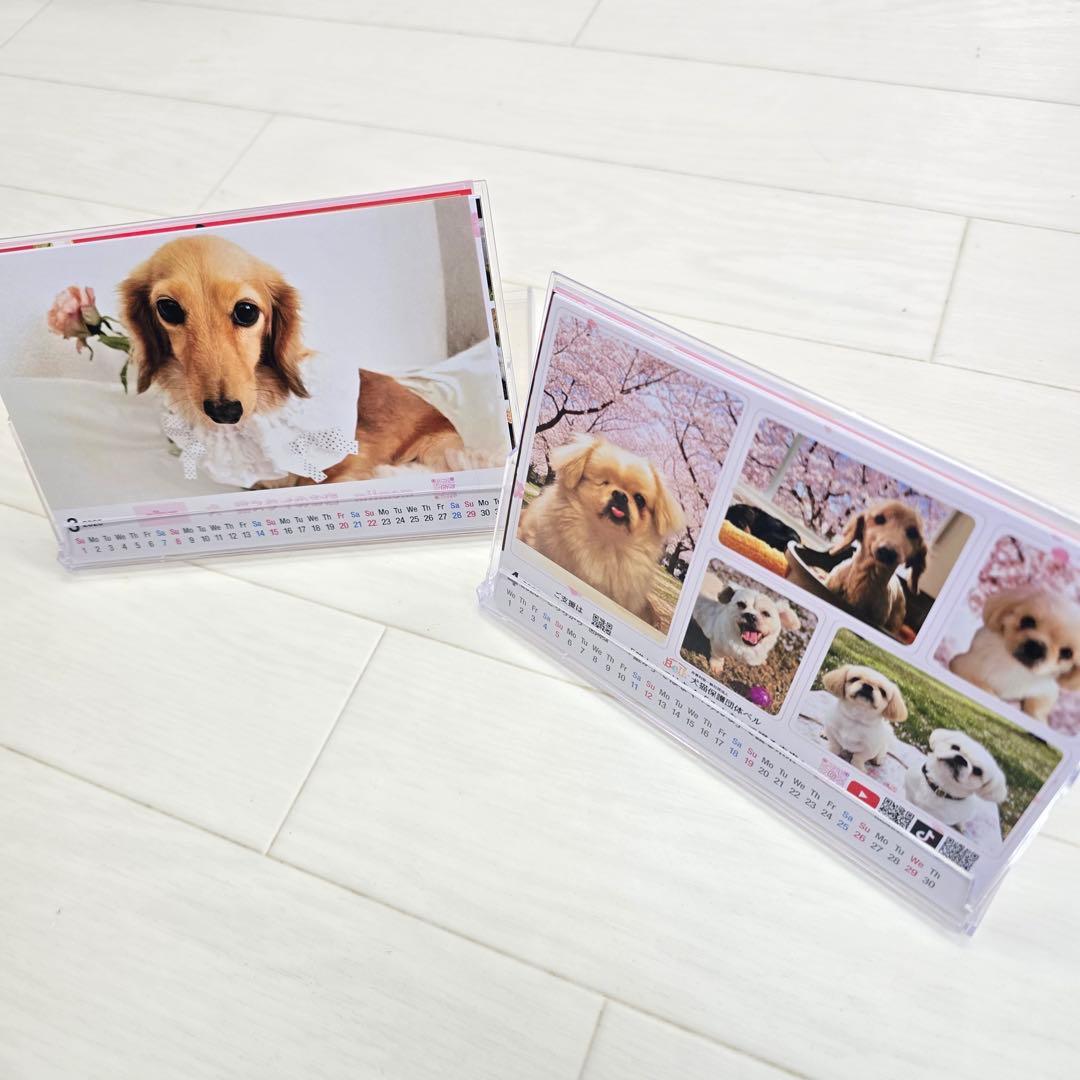 ②『犬』 卓上チャリティーカレンダー10枚セット