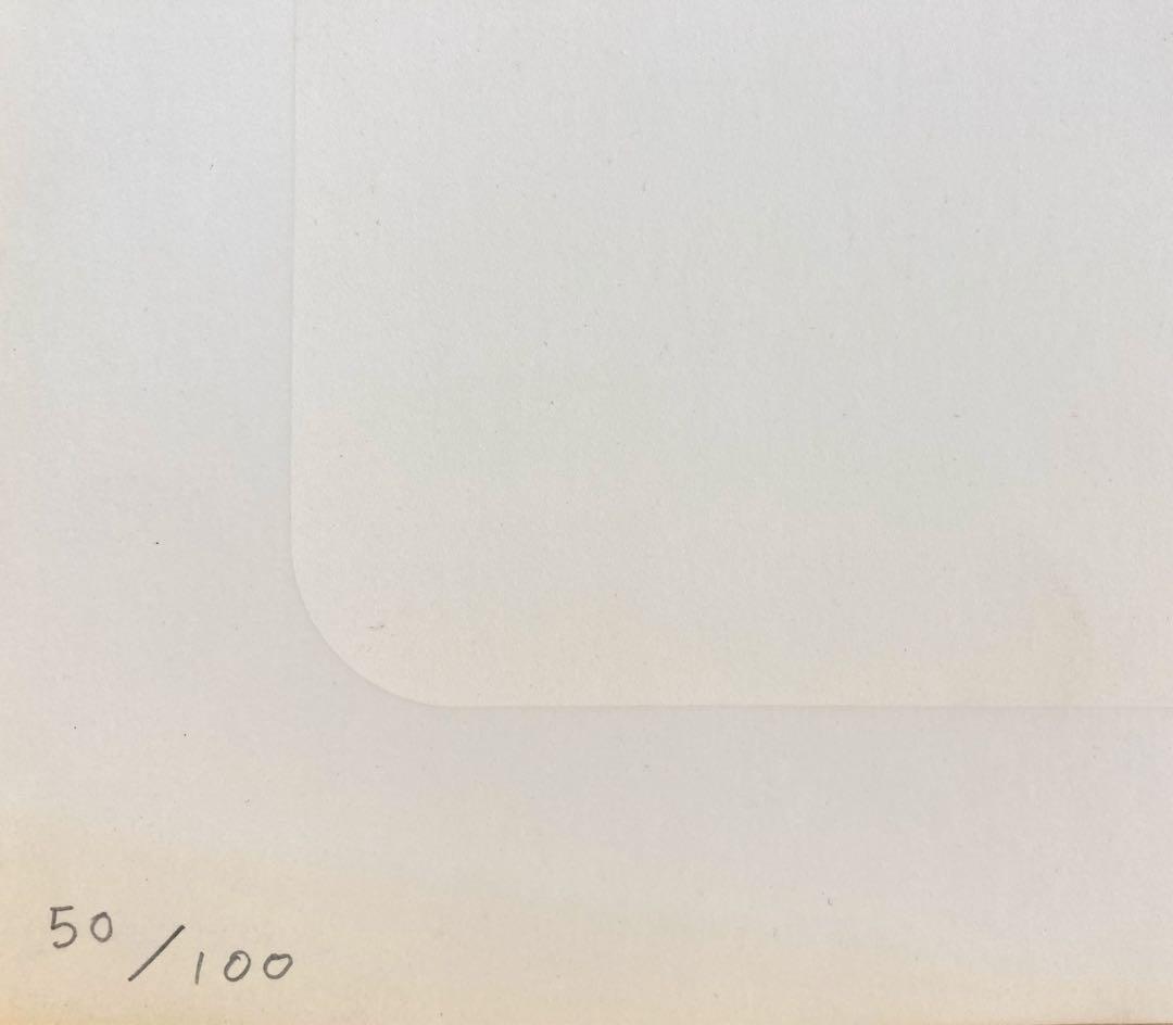 菅井 汲限定版作品集 オリジナルシルクスクリーン作品セット●昭和51年発行●