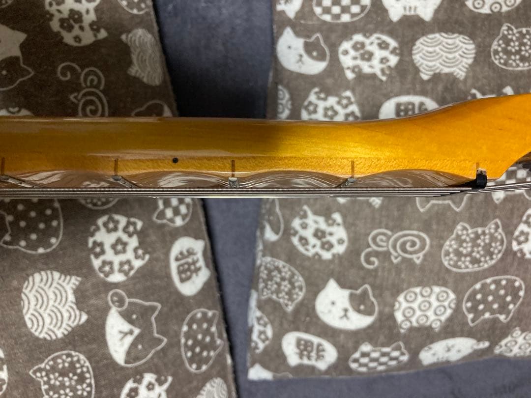 コンポーネントギター　ストラトタイプ　リバースヘッド