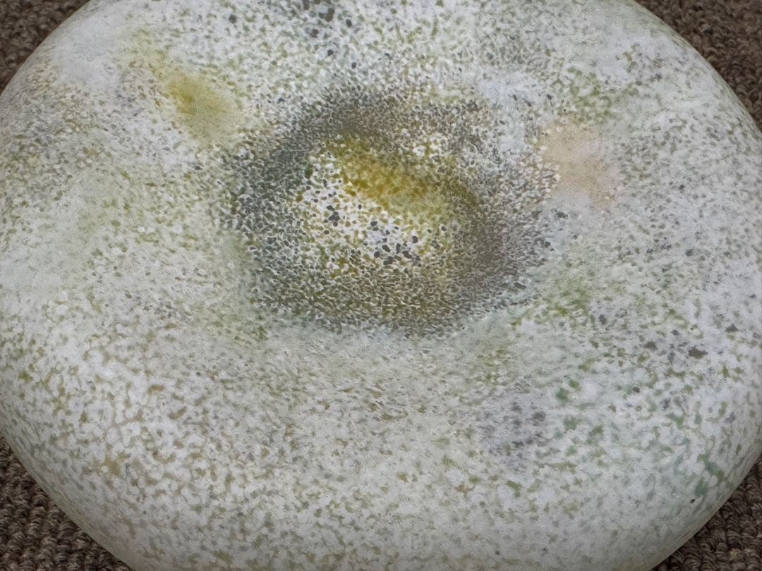 橋村野美知 プレート 皿