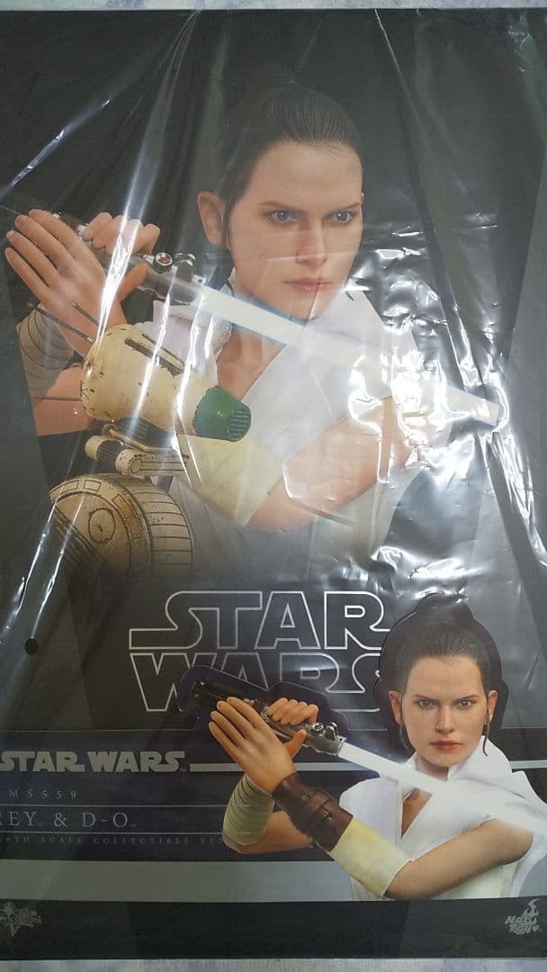 ホットトイズムービーマスターピース スカイウォーカーの夜明け レイ＆Ｄ-Ｏ