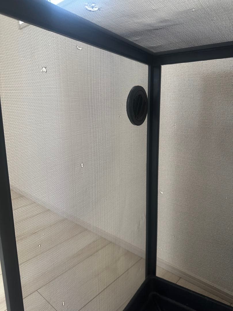 爬虫類　カメレオン　メッシュケージ　42×42×66