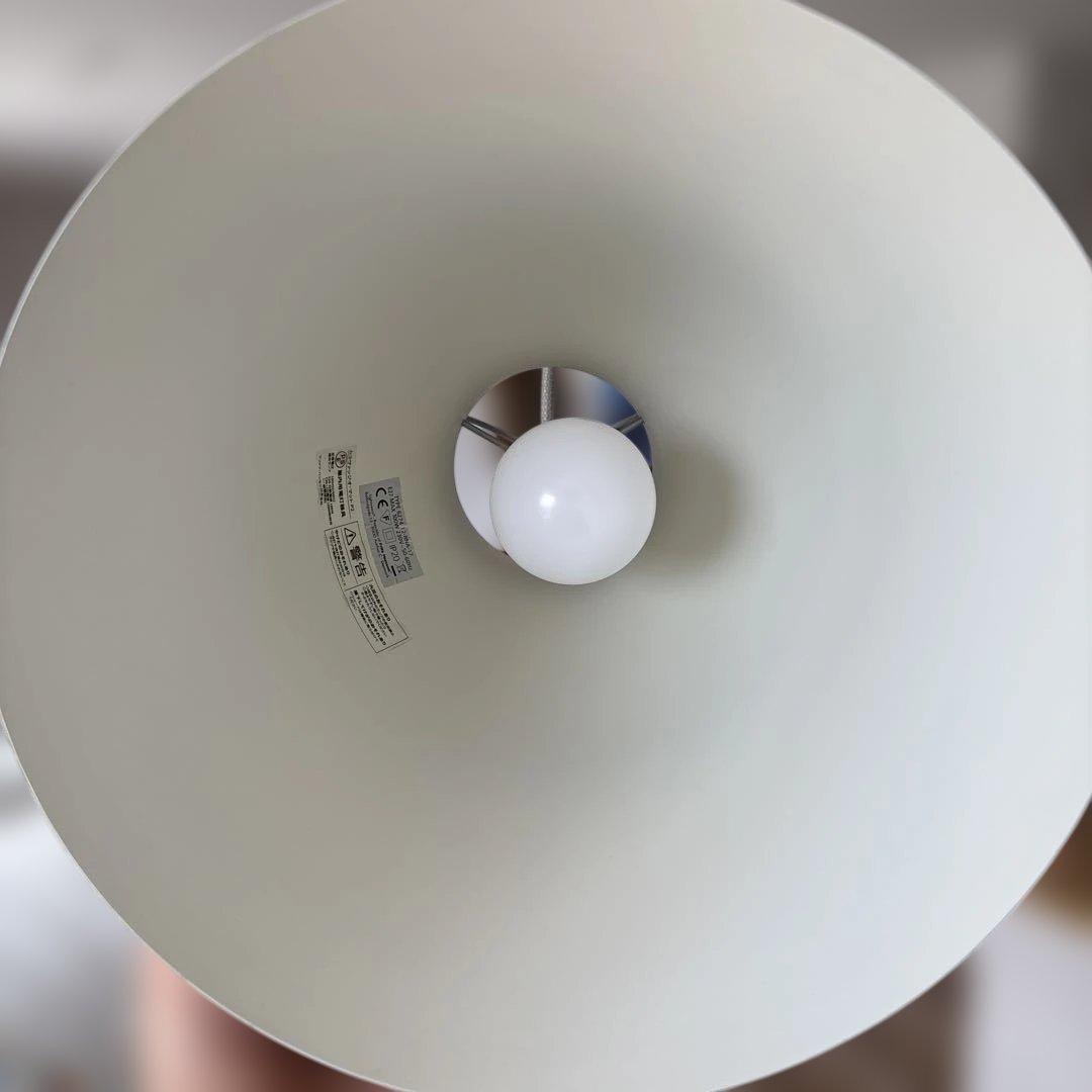 りゅう様　カラヴァッジオP2 1個