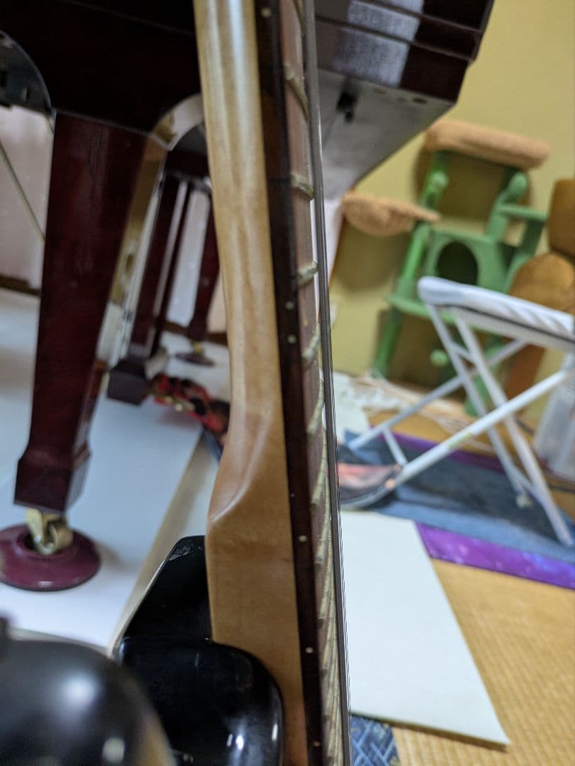 ジプシーローズ　エレキギター　ブラック　 ラメ入りGYPSY ROSE　ストラト