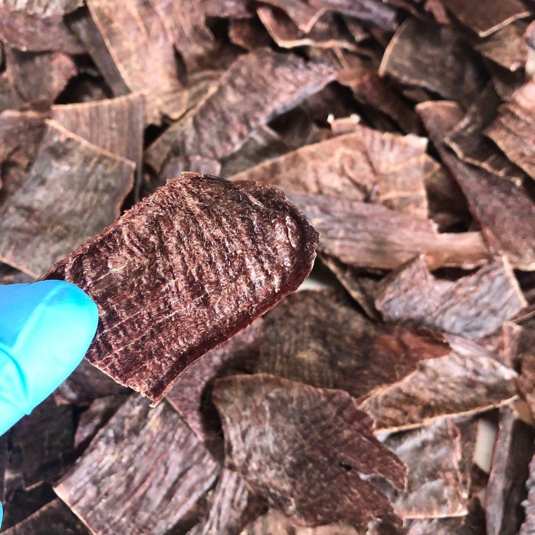 ドッグフード 85