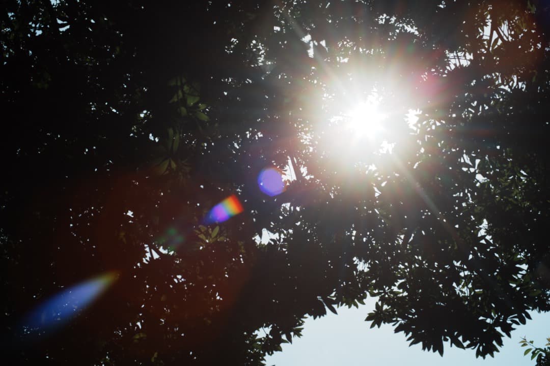 【美品】動作◎ オリンパス G.Zuiko auto 50mm F1.4 980