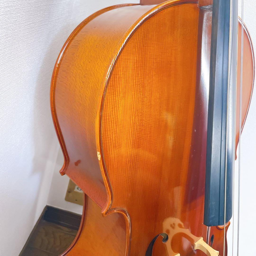 イーストマン　VC100 チェロ　セット　4/4 弓　ケース付き