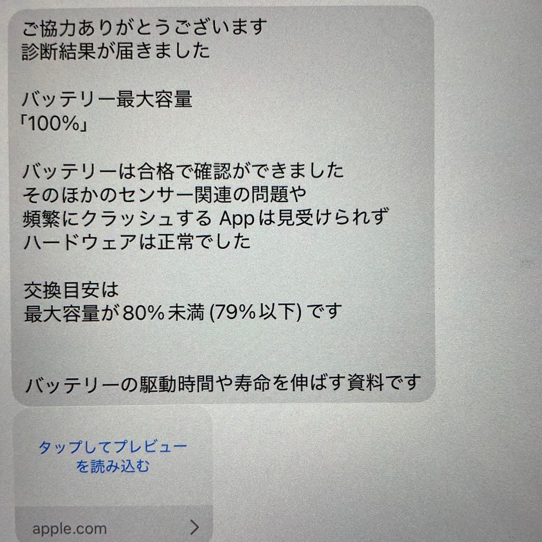 極美品 iPadPro12.9インチ第6世代 Cellular 256GB M2