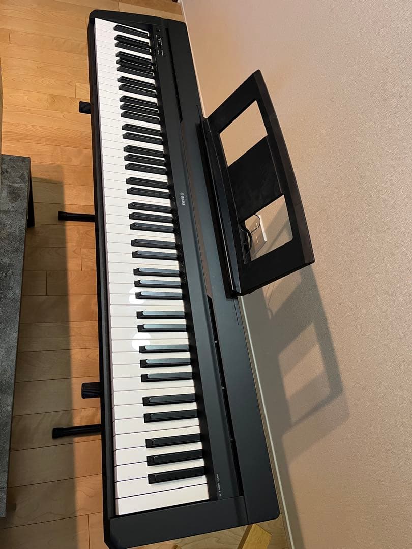 ニコ　ヤマハ　P-45B