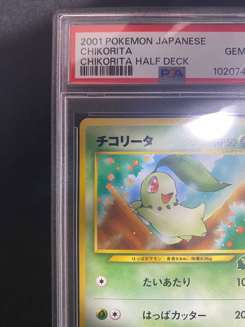 チコリータ　イントロパック PSA10 旧裏 ポケモンカード　世界で19枚